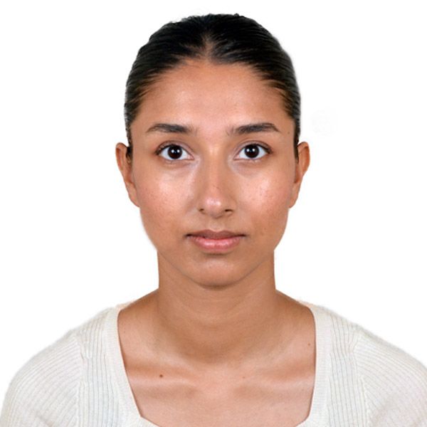 Meet Our Team - N&S Partners-Our team members at N&S Partners leverage their diverse industry experience to provide expert market research and consulting services in South East Asia.